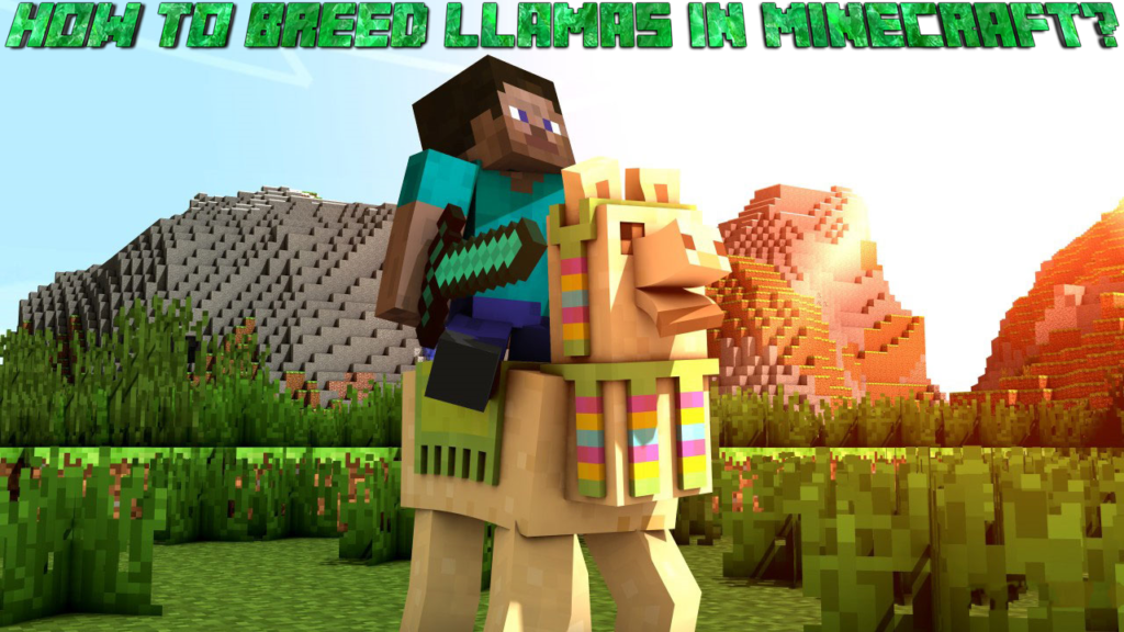 How to breed Llamas in Minecraft?