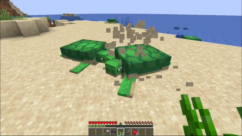 How to Breed Turtles in Minecraft